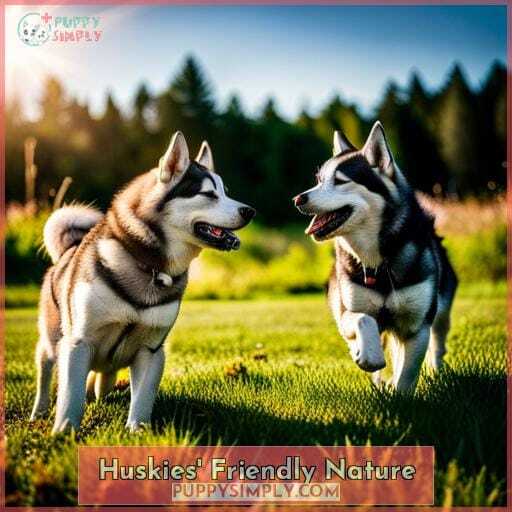 Huskies' Friendly Nature Huskies' Friendly Nature