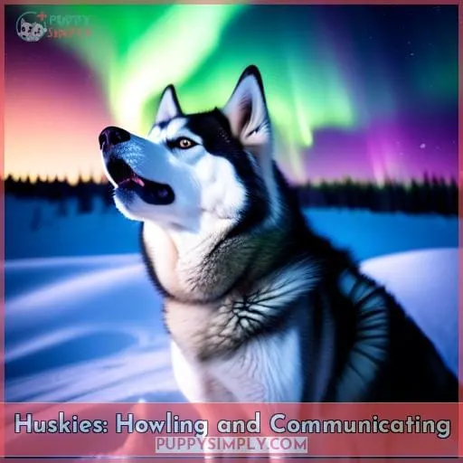 Huskies: Howling and Communicating