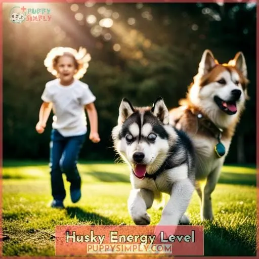 Husky Energy Level