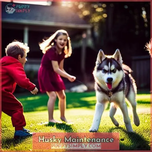 Husky Maintenance