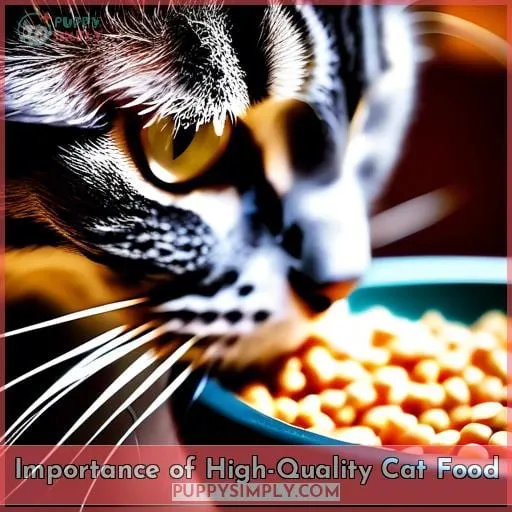 Importance of High-Quality Cat Food