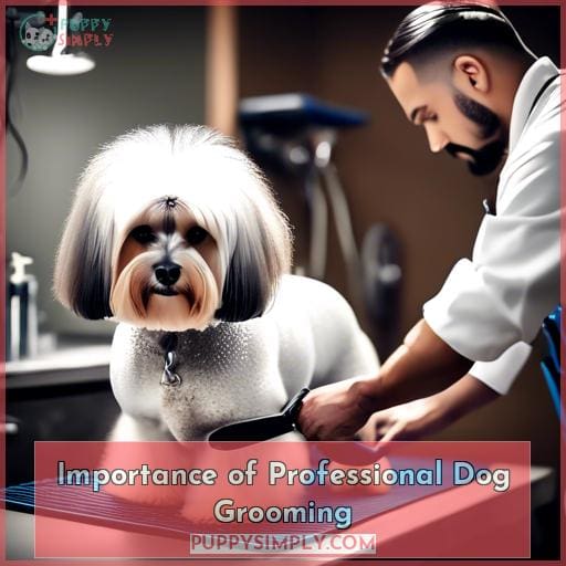 Importance of Professional Dog Grooming