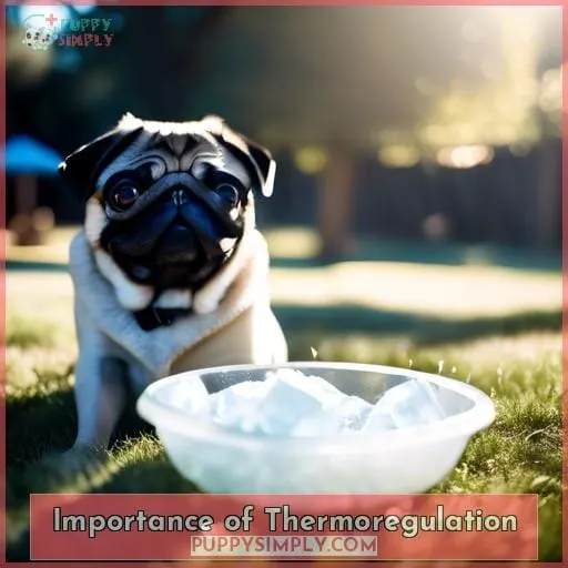 Importance of Thermoregulation