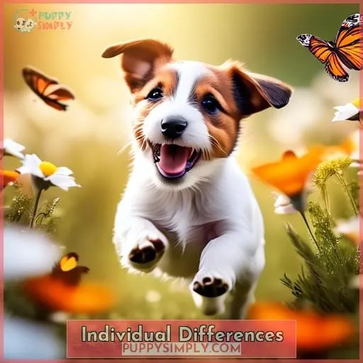 Individual Differences