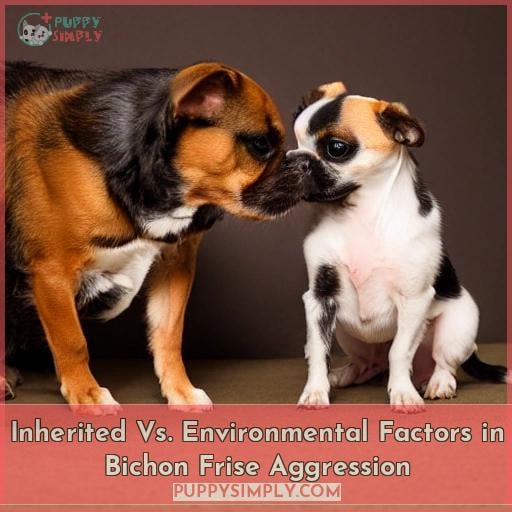 Inherited Vs. Environmental Factors in Bichon Frise Aggression