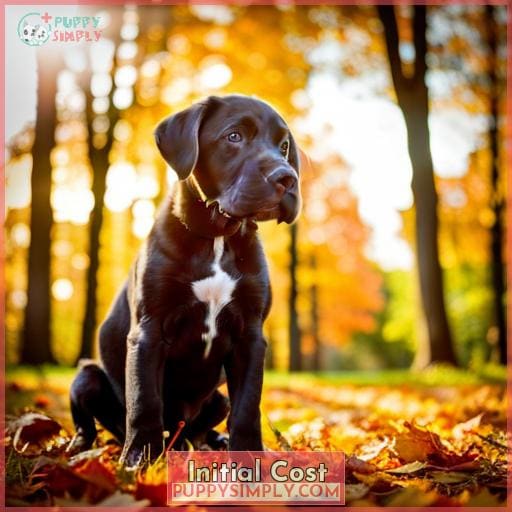 Initial Cost Initial Cost