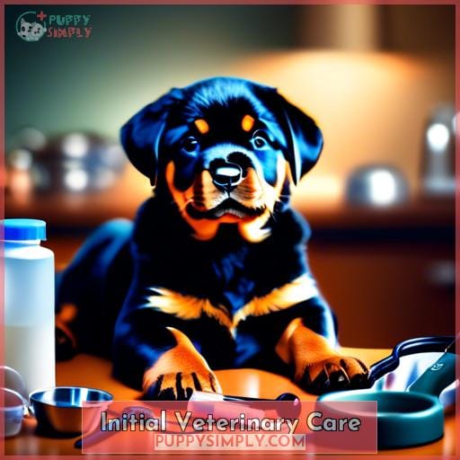 Initial Veterinary Care