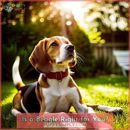 Is a Beagle Right for You