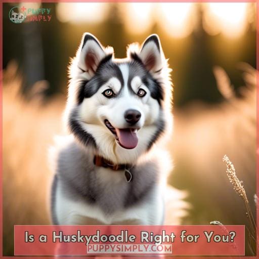 Is a Huskydoodle Right for You