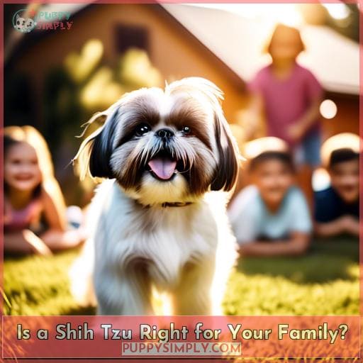 Is a Shih Tzu Right for Your Family