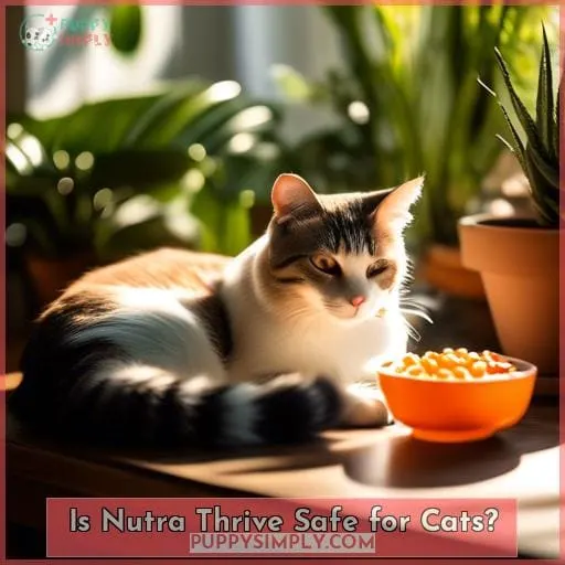 Is Nutra Thrive Safe for Cats