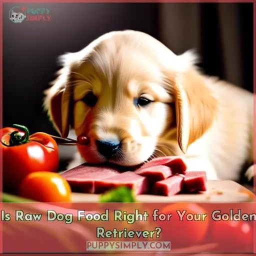 Is Raw Dog Food Right for Your Golden Retriever