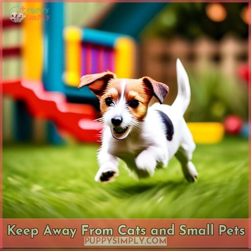 Keep Away From Cats and Small Pets