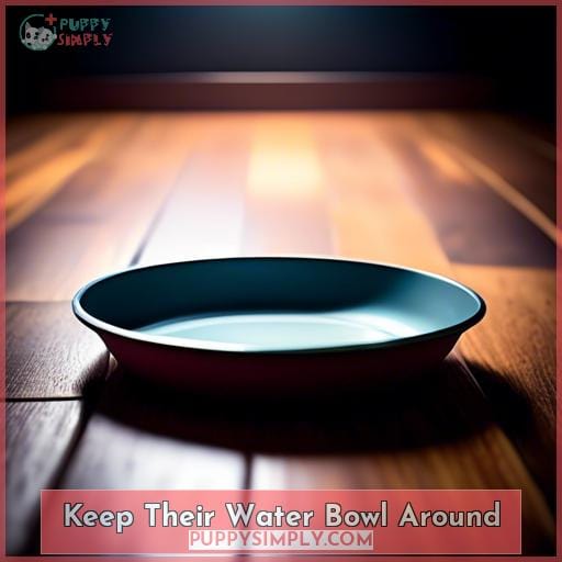 Keep Their Water Bowl Around