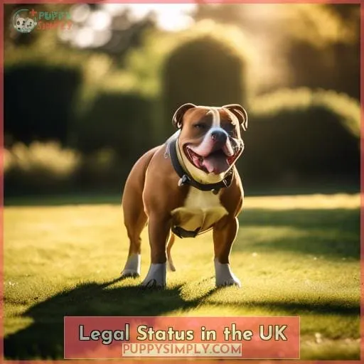 Legal Status in the UK