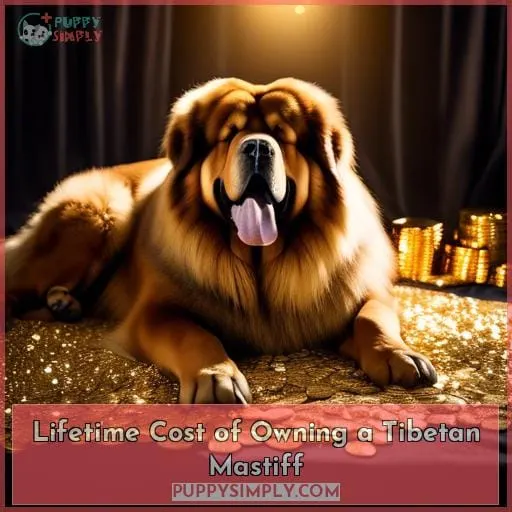 Lifetime Cost of Owning a Tibetan Mastiff