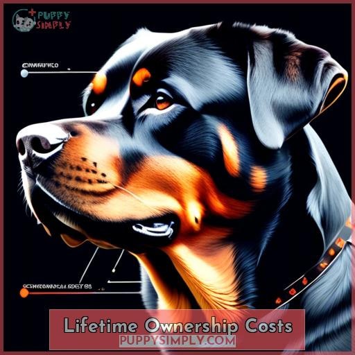 Lifetime Ownership Costs