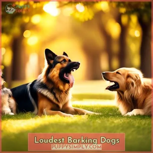 Loudest Barking Dogs