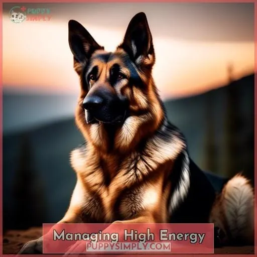 Managing High Energy