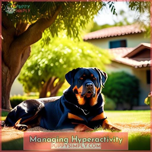 Managing Hyperactivity Managing Hyperactivity