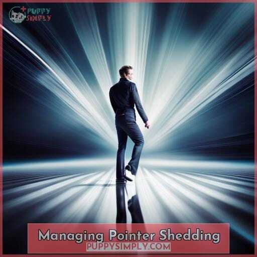 Managing Pointer Shedding Managing Pointer Shedding