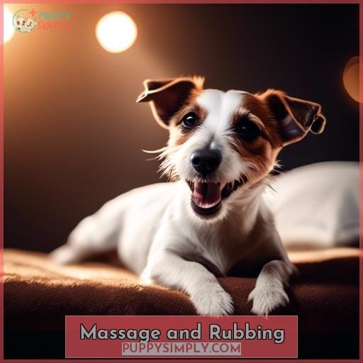 Massage and Rubbing