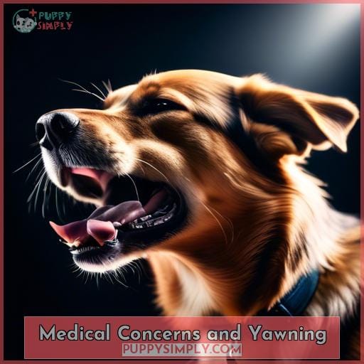 Medical Concerns and Yawning