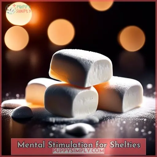 Mental Stimulation for Shelties