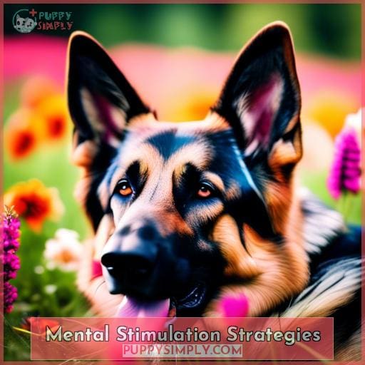 Mental Stimulation Strategies