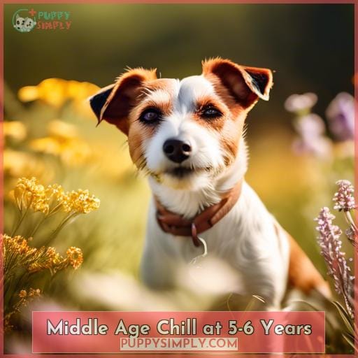Middle Age Chill at 5-6 Years