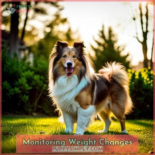 Monitoring Weight Changes Monitoring Weight Changes