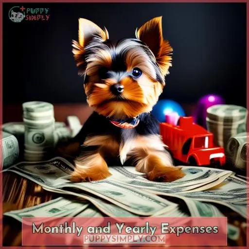Monthly and Yearly Expenses