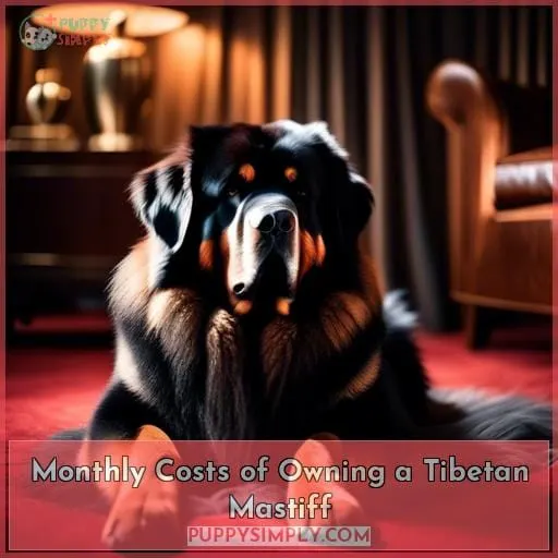 Monthly Costs of Owning a Tibetan Mastiff