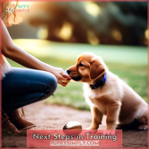 Next Steps in Training
