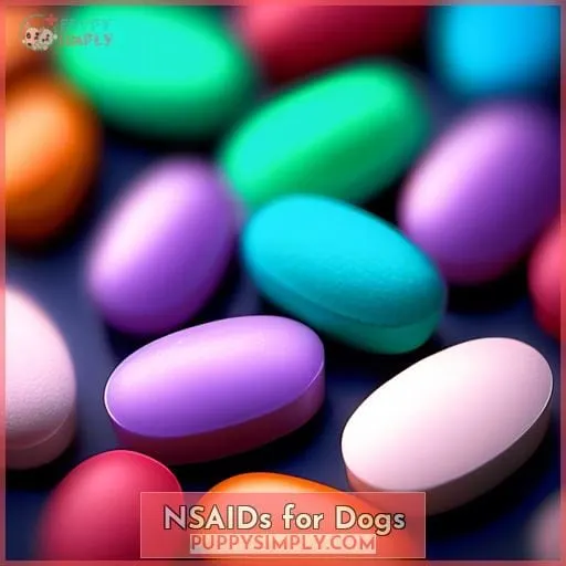 NSAIDs for Dogs