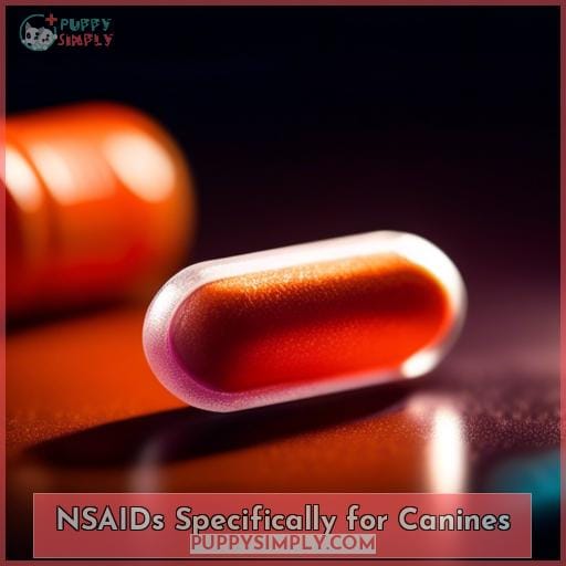 NSAIDs Specifically for Canines