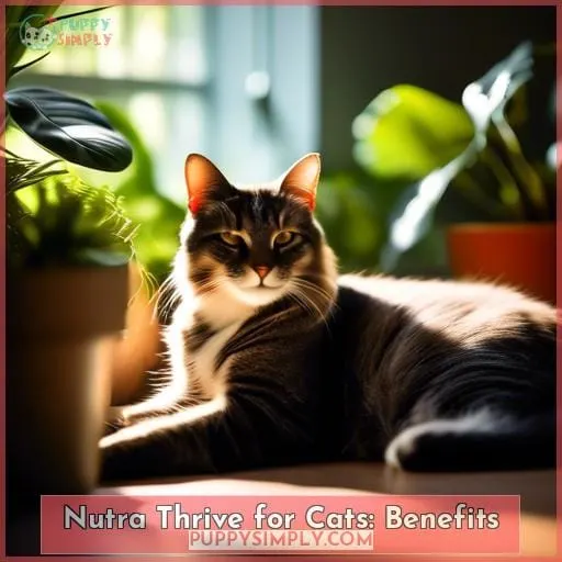 Nutra Thrive for Cats: Benefits