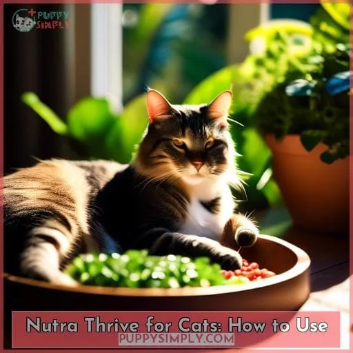 Nutra Thrive for Cats: How to Use