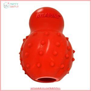 Nylabone Chew & Treat Toy B07DFSYYZC