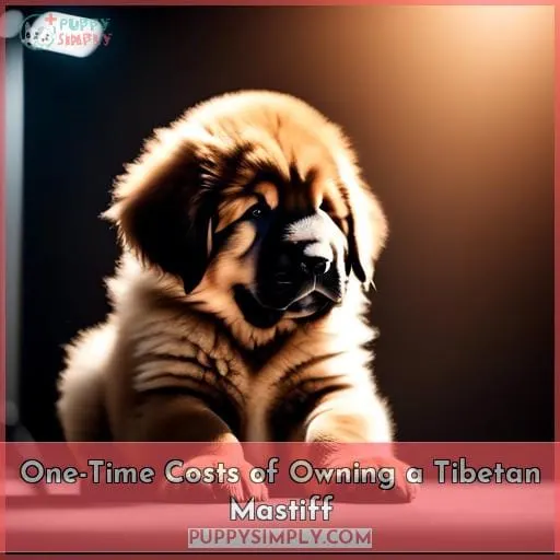 One-Time Costs of Owning a Tibetan Mastiff