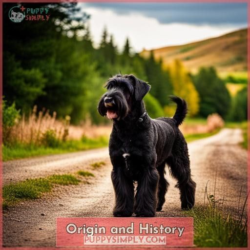 Origin and History Origin and History