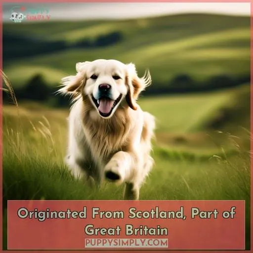 Originated From Scotland, Part of Great Britain