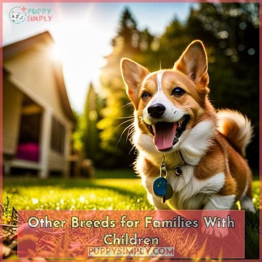 Other Breeds for Families With Children Other Breeds for Families With Children
