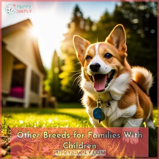 Other Breeds for Families With Children