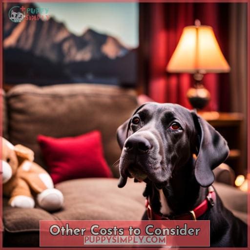Other Costs to Consider Other Costs to Consider
