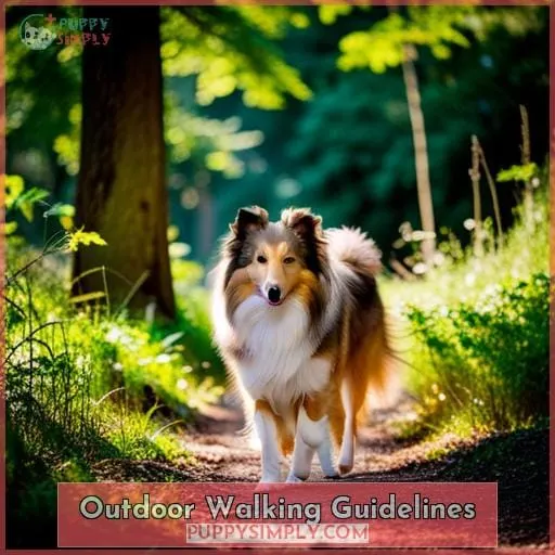 Outdoor Walking Guidelines