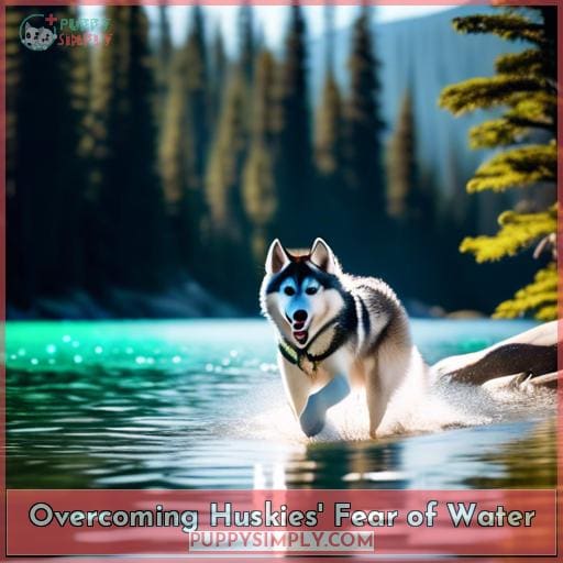 Overcoming Huskies