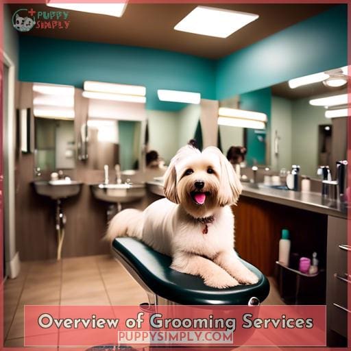 Overview of Grooming Services