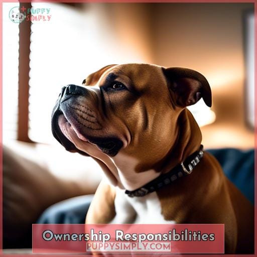 Ownership Responsibilities