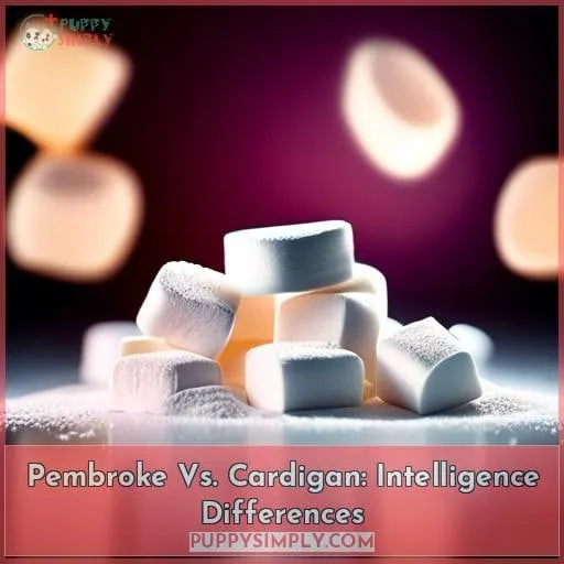 Pembroke Vs. Cardigan: Intelligence Differences